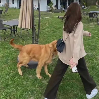 院子里的女人